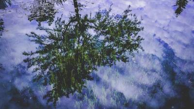2026世界杯预选赛巴西队精彩配合后破门，团队足球的完美体现